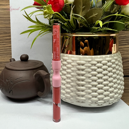 Wardabeauty Matte & Shiny Lip Gloss Set – Longwear & Smudge Proof